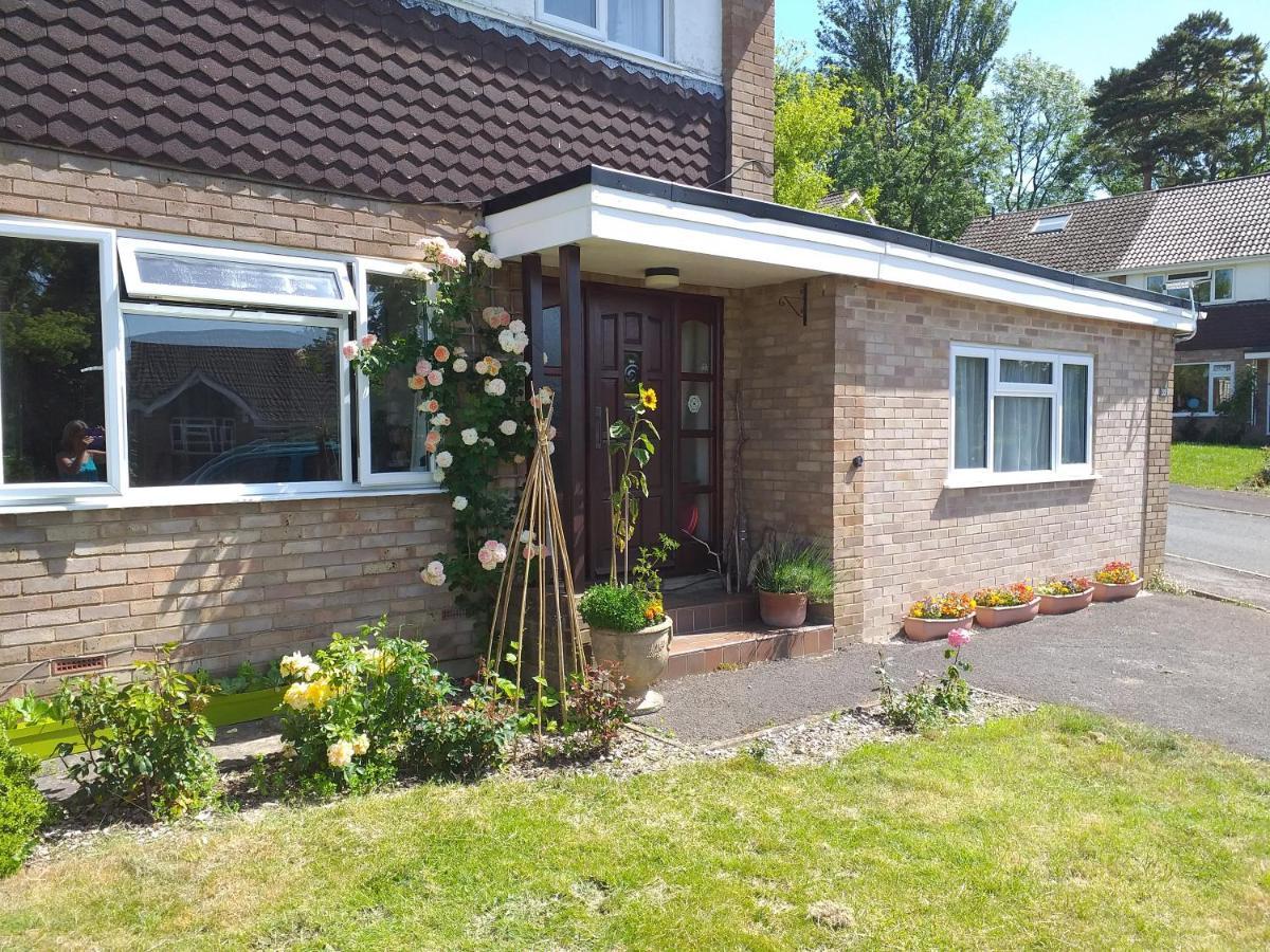 Cheltenham Studio Apartment 외부 사진